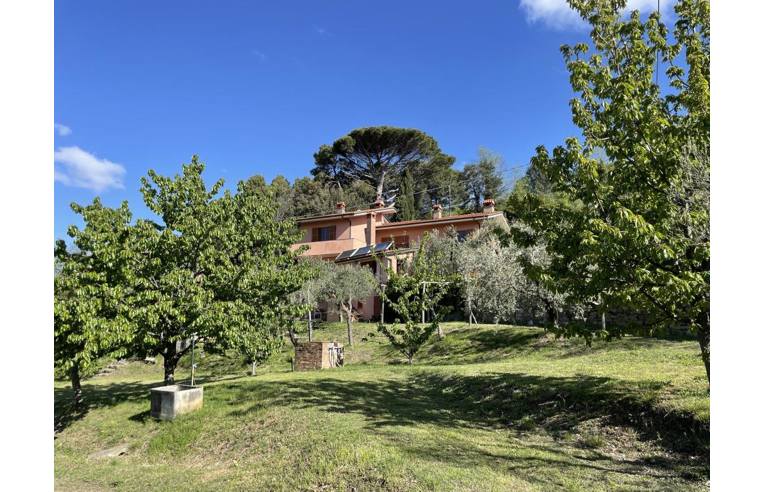 immagine annuncio 4 di 7