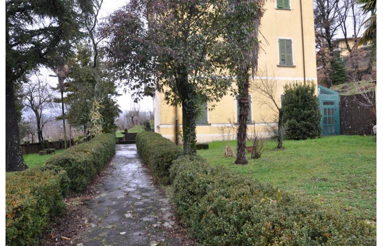 immagine annuncio 5 di 7