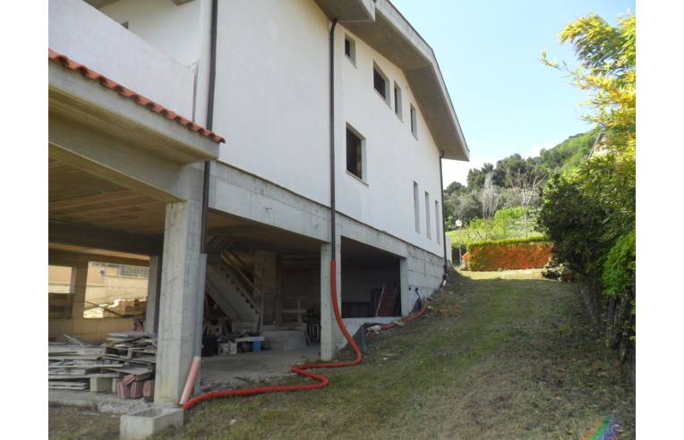 immagine annuncio 3 di 7