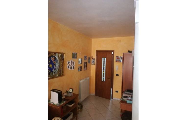 immagine annuncio 4 di 7