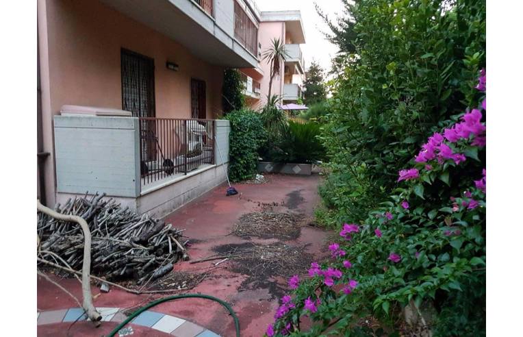 immagine annuncio 4 di 7