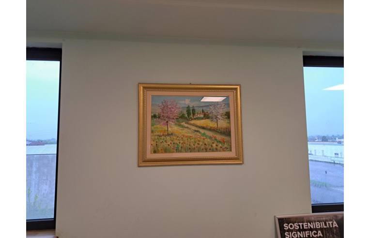 immagine annuncio 2 di 7