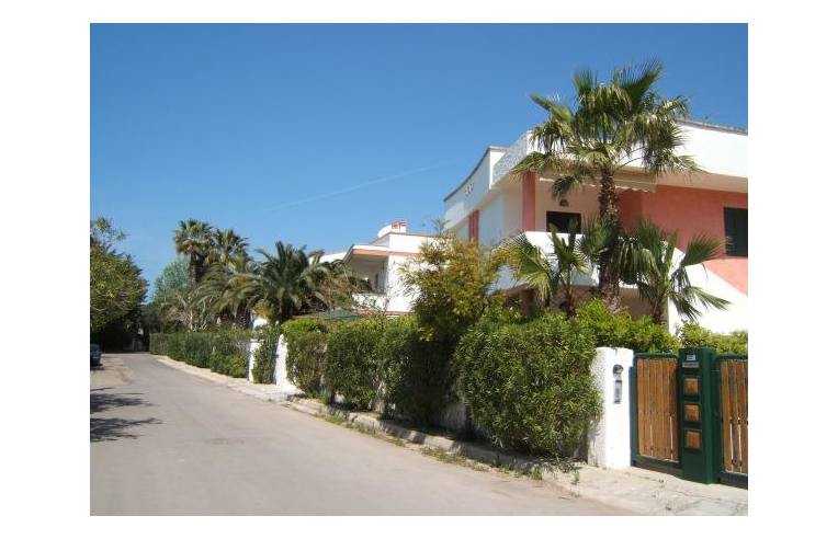 Foto 4 - Affitto Appartamento Vacanze da Privato - Gallipoli (Lecce)