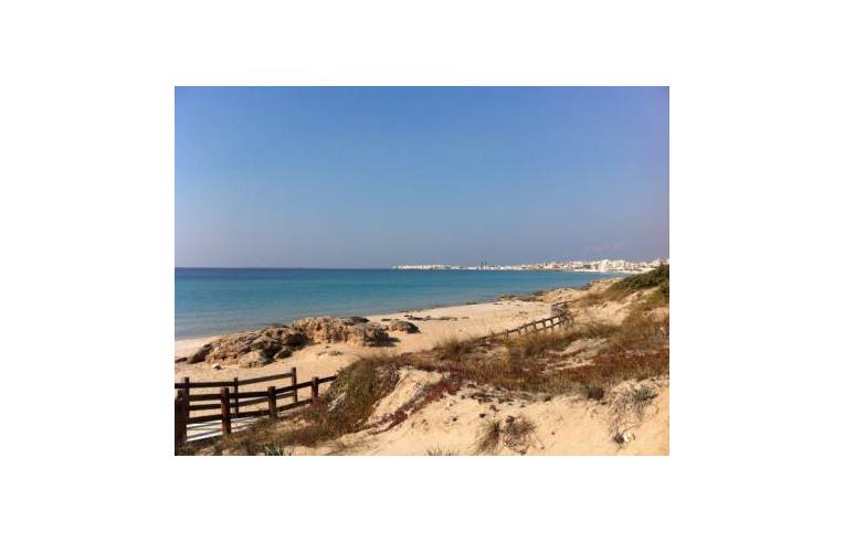 Foto 5 - Affitto Appartamento Vacanze da Privato - Gallipoli (Lecce)