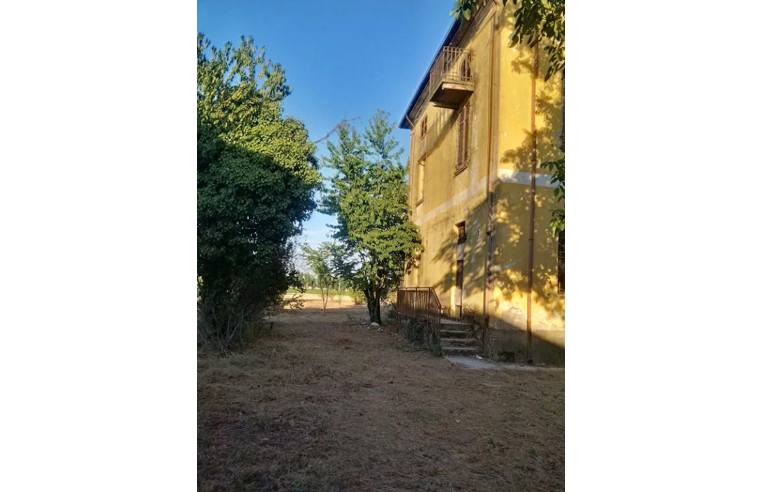 immagine annuncio 3 di 7
