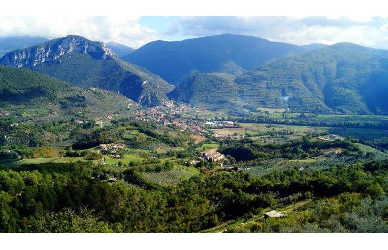 immagine annuncio 3 di 7