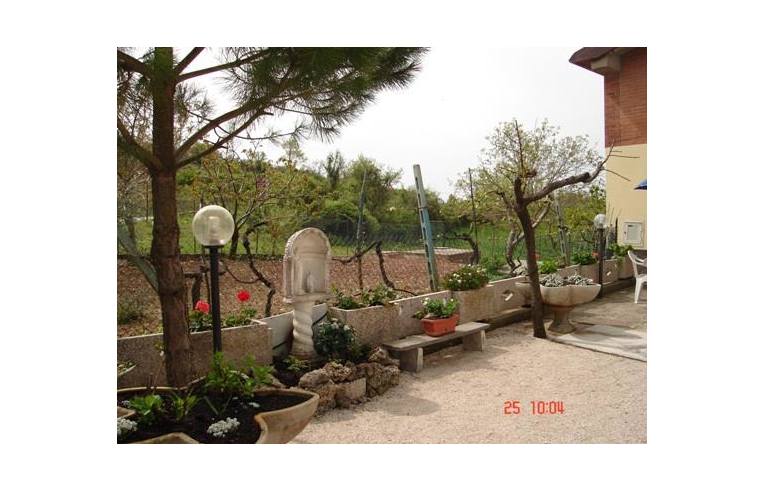 immagine annuncio 5 di 7