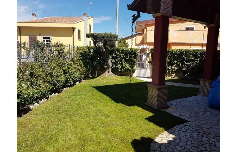 immagine annuncio 1 di 7