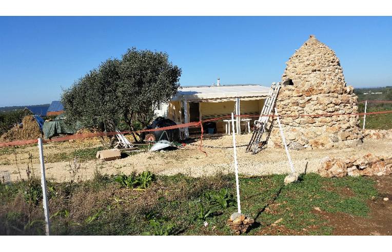Foto 2 - Altro in Vendita da Privato - Manduria, Frazione San Pietro