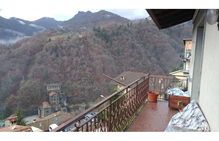 immagine annuncio 3 di 7