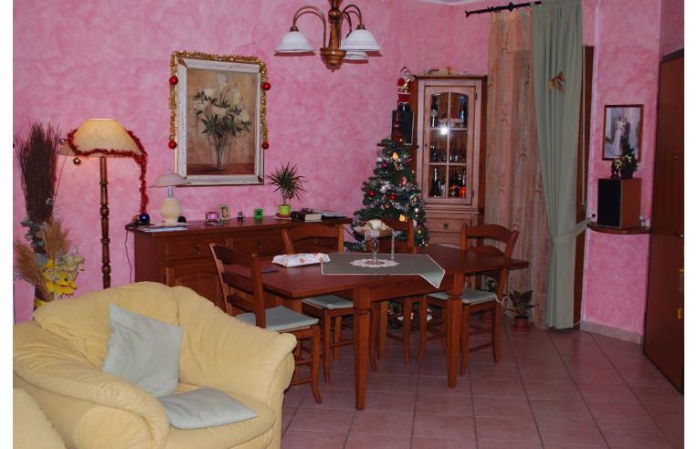 immagine annuncio 5 di 7