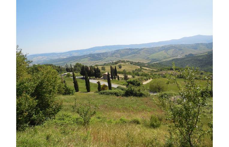 Foto 7 - Appartamento in Vendita da Privato - Castiglione d'Orcia, Frazione Campiglia D'orcia
