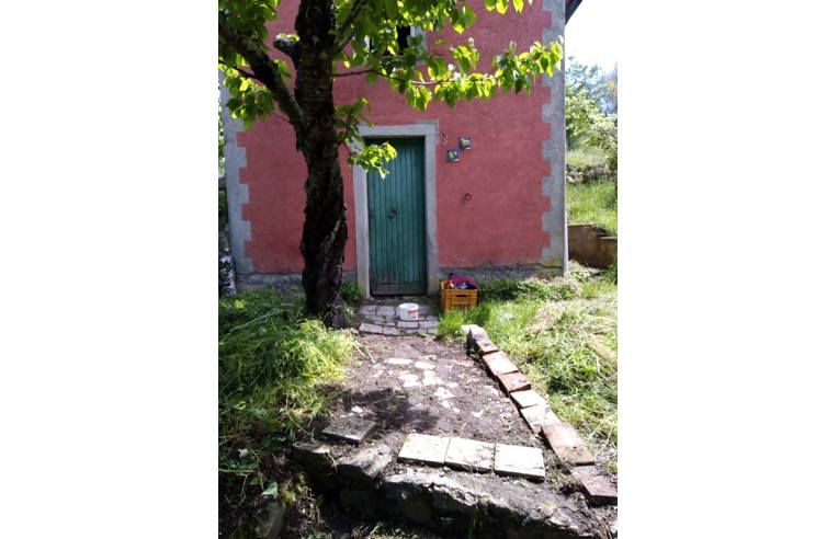 immagine annuncio 4 di 7