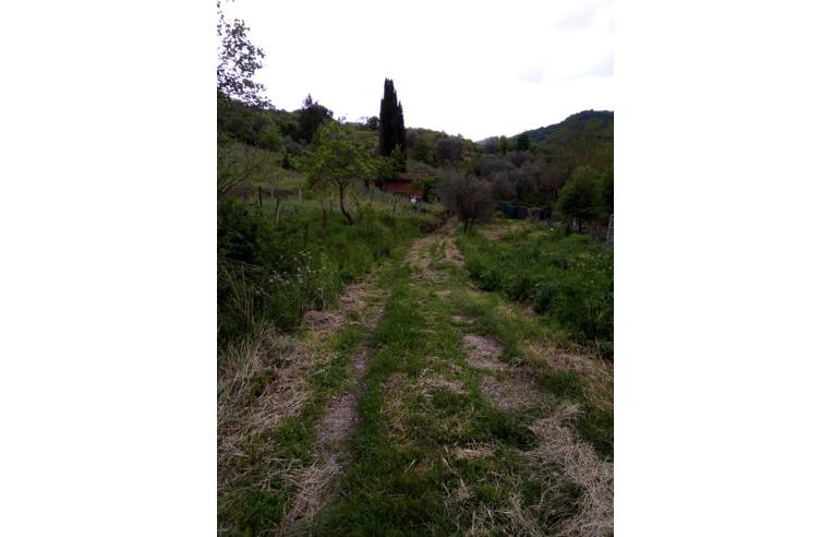 immagine annuncio 6 di 7