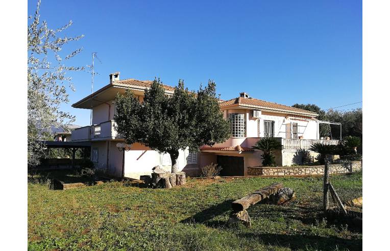 immagine annuncio 4 di 7