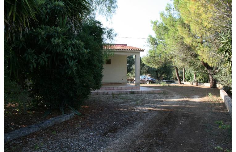 immagine annuncio 6 di 7