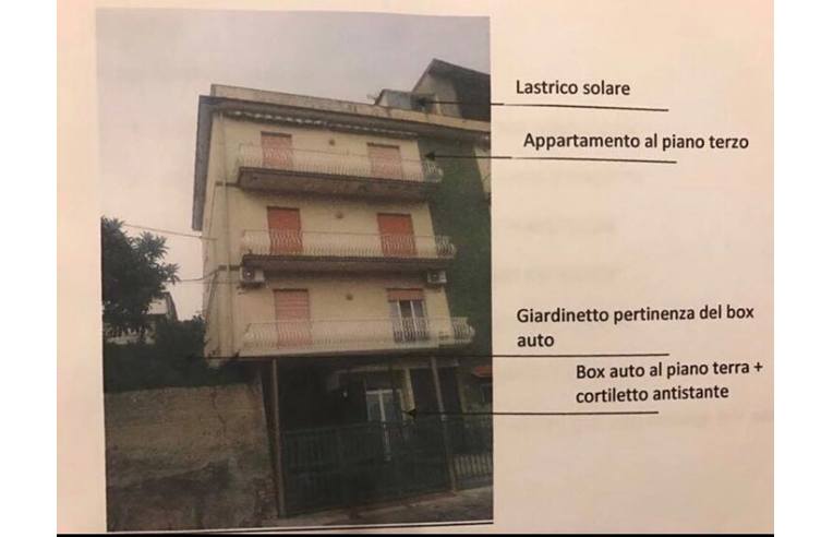 immagine annuncio 1 di 7