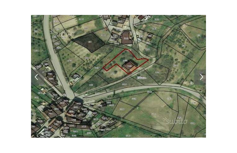 immagine annuncio 1 di 4