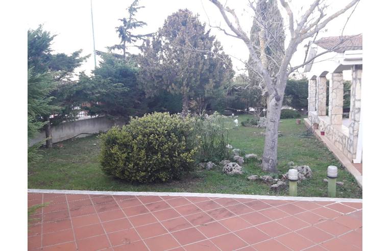 immagine annuncio 5 di 6