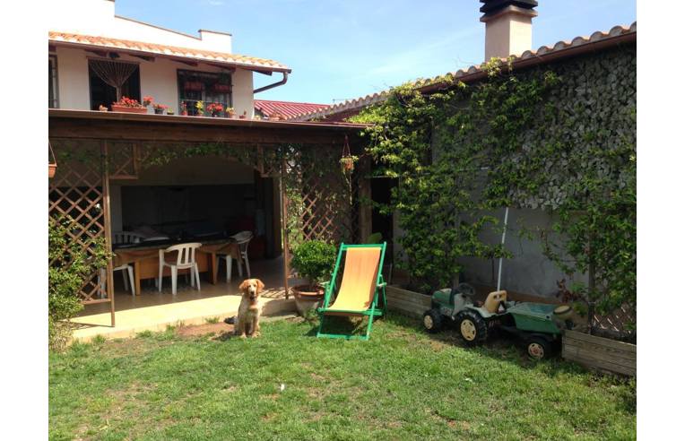 immagine annuncio 5 di 7
