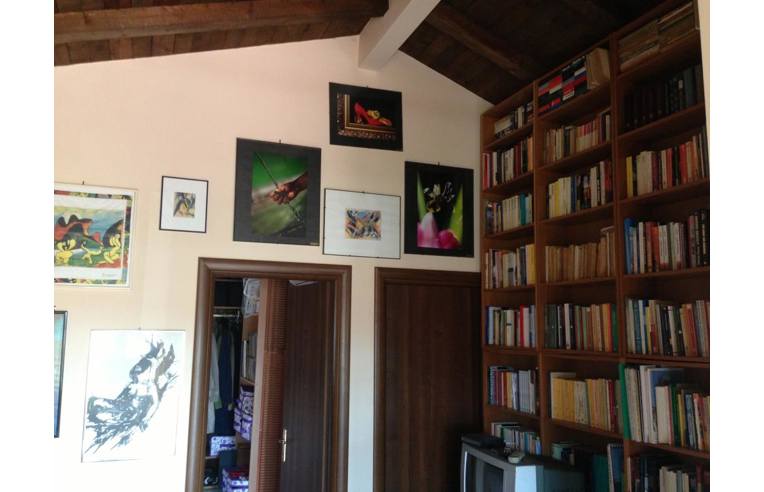 immagine annuncio 3 di 7