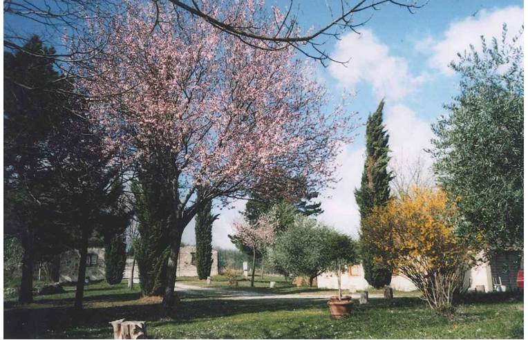 immagine annuncio 4 di 7