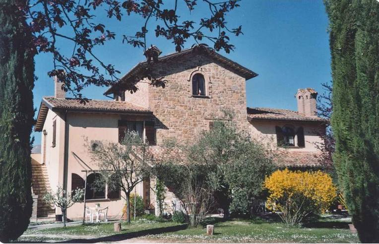 immagine annuncio 6 di 7