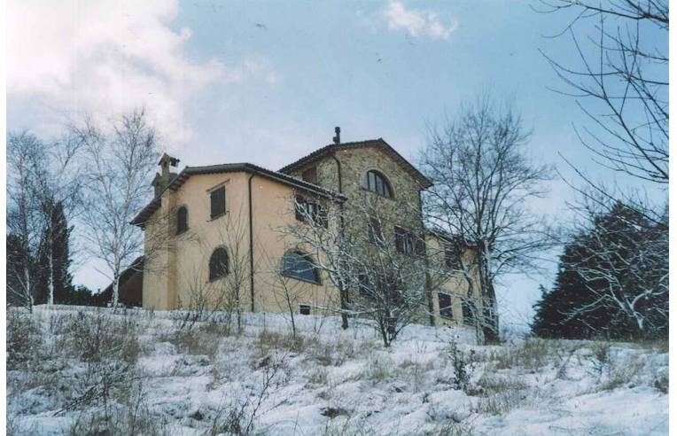 immagine annuncio 2 di 7