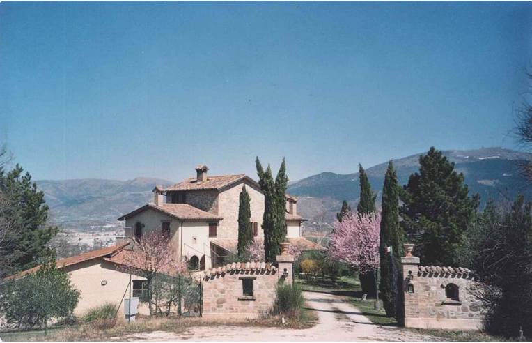 immagine annuncio 3 di 7