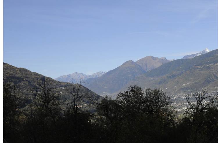 immagine annuncio 5 di 7