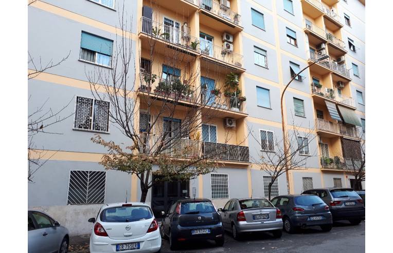 immagine annuncio 6 di 7