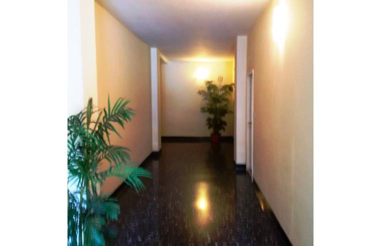 Foto 6 - Appartamento in Vendita da Privato - Genova, Zona Albaro