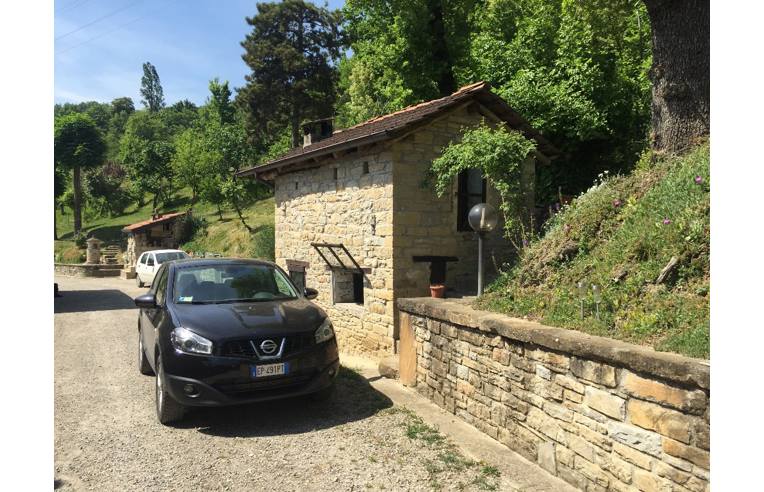 immagine annuncio 5 di 7