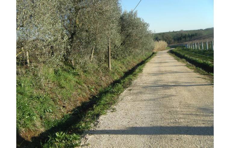 immagine annuncio 4 di 7