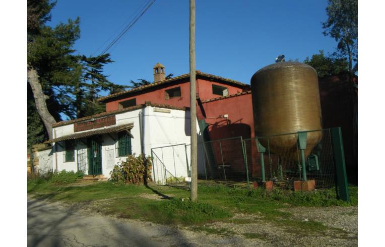 immagine annuncio 6 di 7