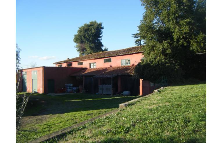 immagine annuncio 3 di 7