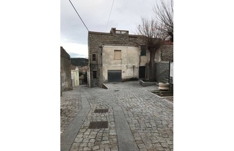 Foto 3 - Appartamento in Vendita da Privato - Orotelli (Nuoro)