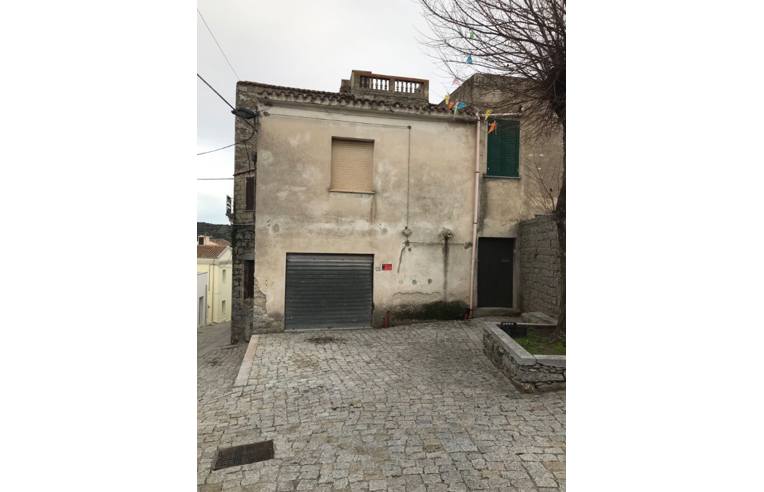 Foto 2 - Appartamento in Vendita da Privato - Orotelli (Nuoro)