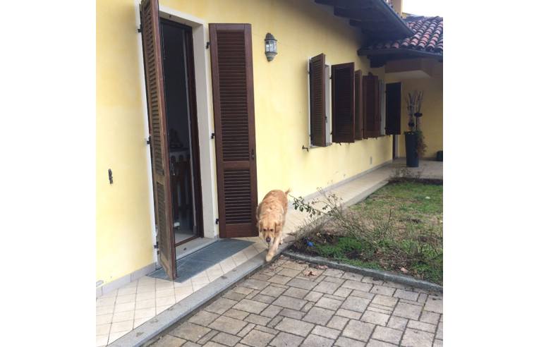 immagine annuncio 1 di 7