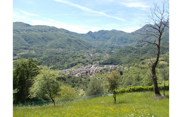 immagine annuncio 3 di 6