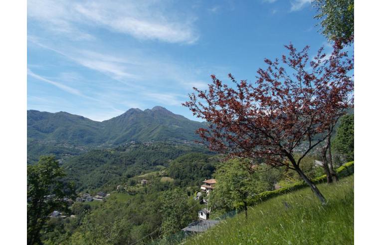 immagine annuncio 5 di 6