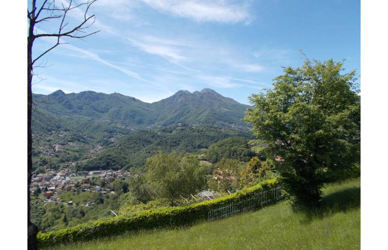 immagine annuncio 4 di 6