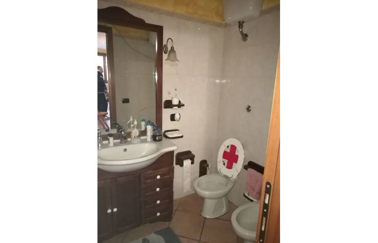 immagine annuncio 5 di 7