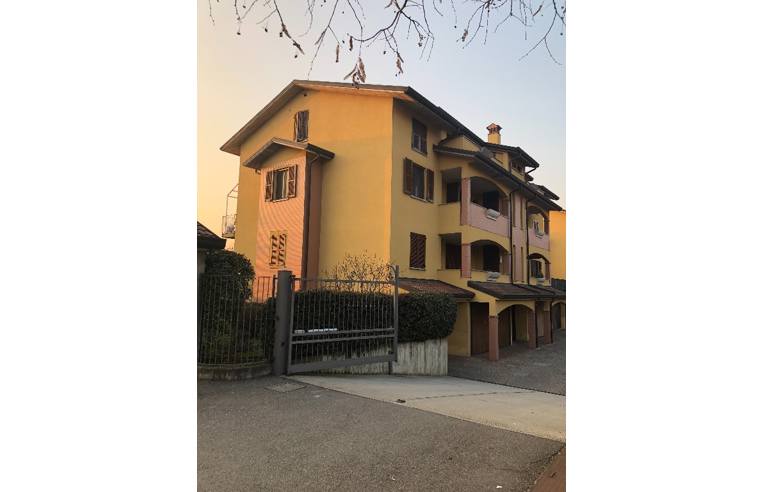 immagine annuncio 5 di 7
