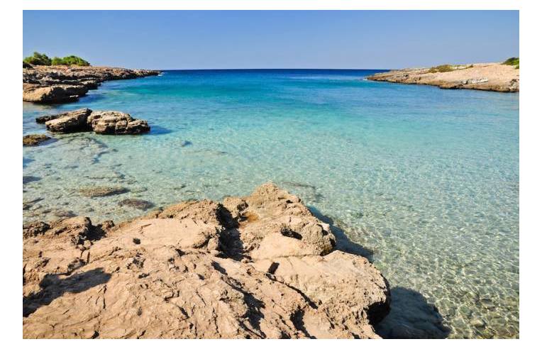 immagine annuncio 1 di 7