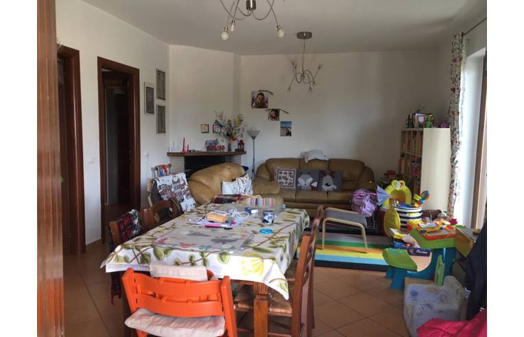 immagine annuncio 2 di 7