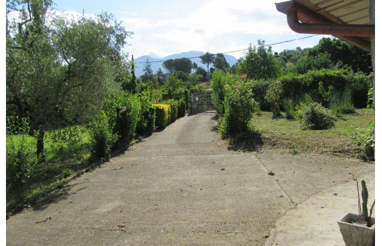 immagine annuncio 2 di 7