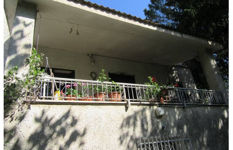 immagine annuncio 4 di 7