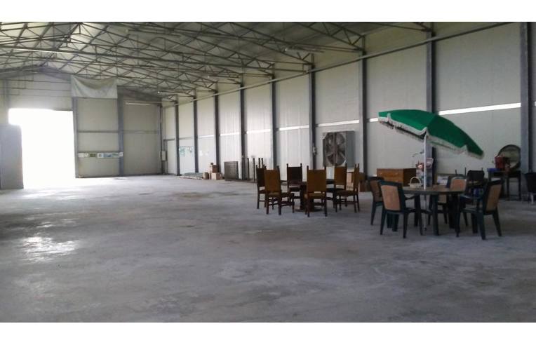 immagine annuncio 2 di 6