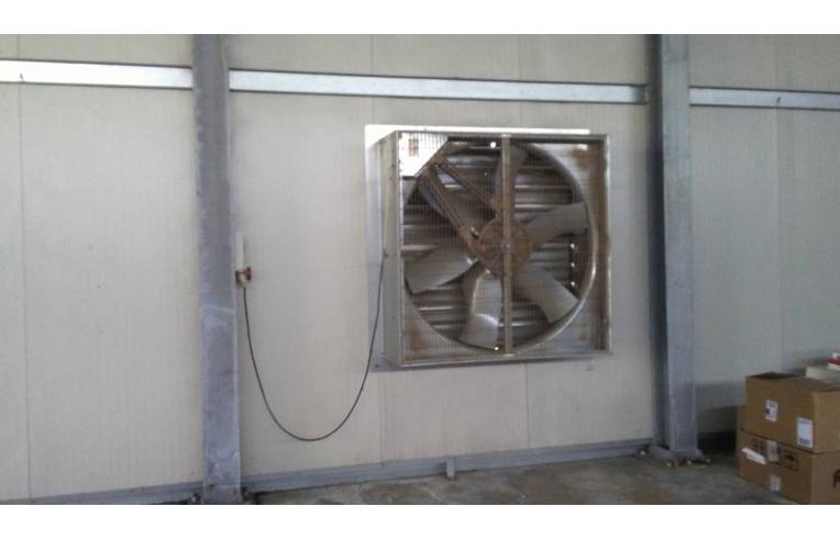 immagine annuncio 4 di 6